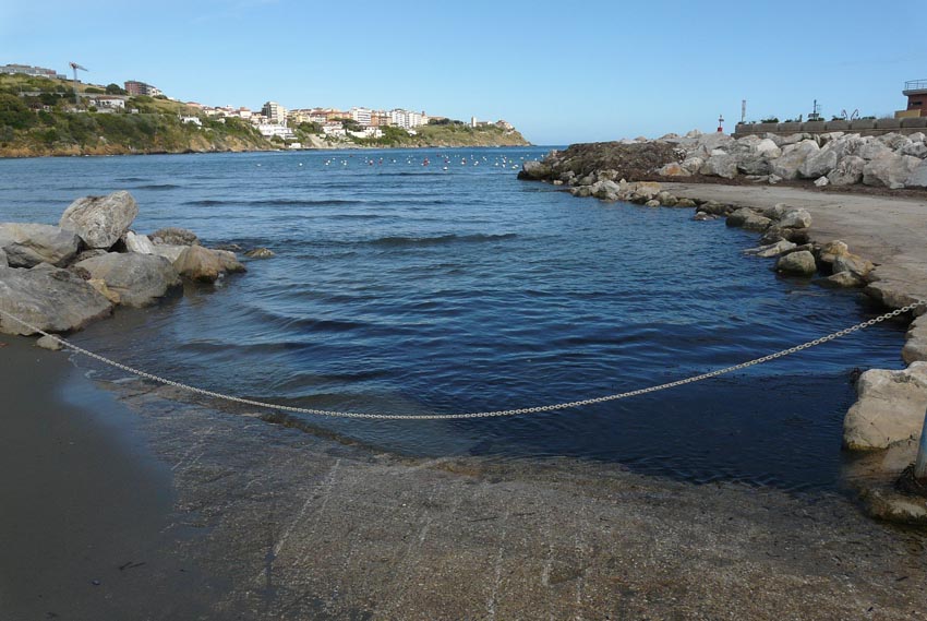 Rio Salivoli (Piombino) - rospi smeraldini in citt!